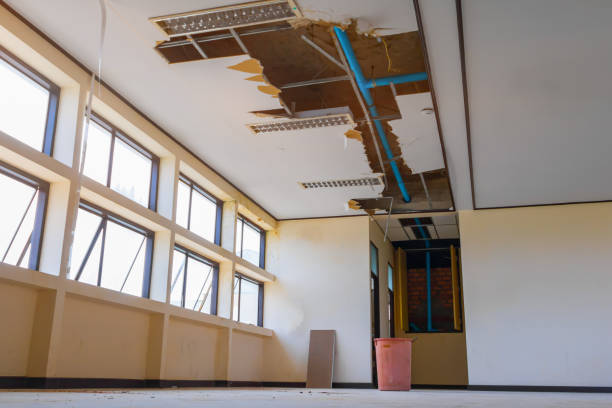 Best Water damage restoration near me  in Croom, MD