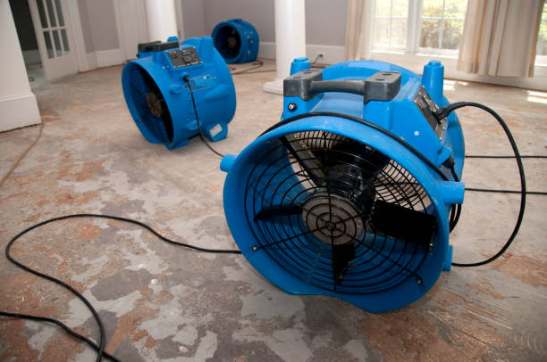 Best Fire Damage Restoration  in Croom, MD