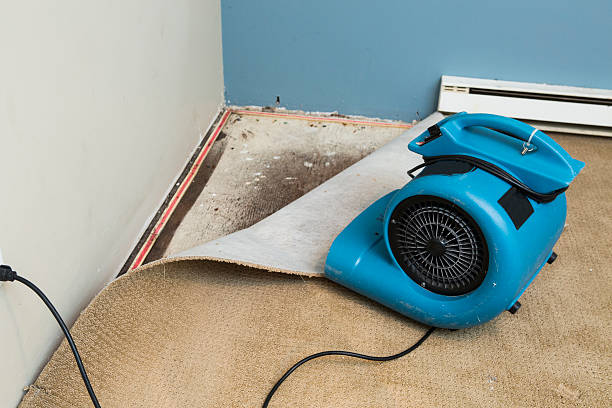 Best Professional water damage repair  in Croom, MD